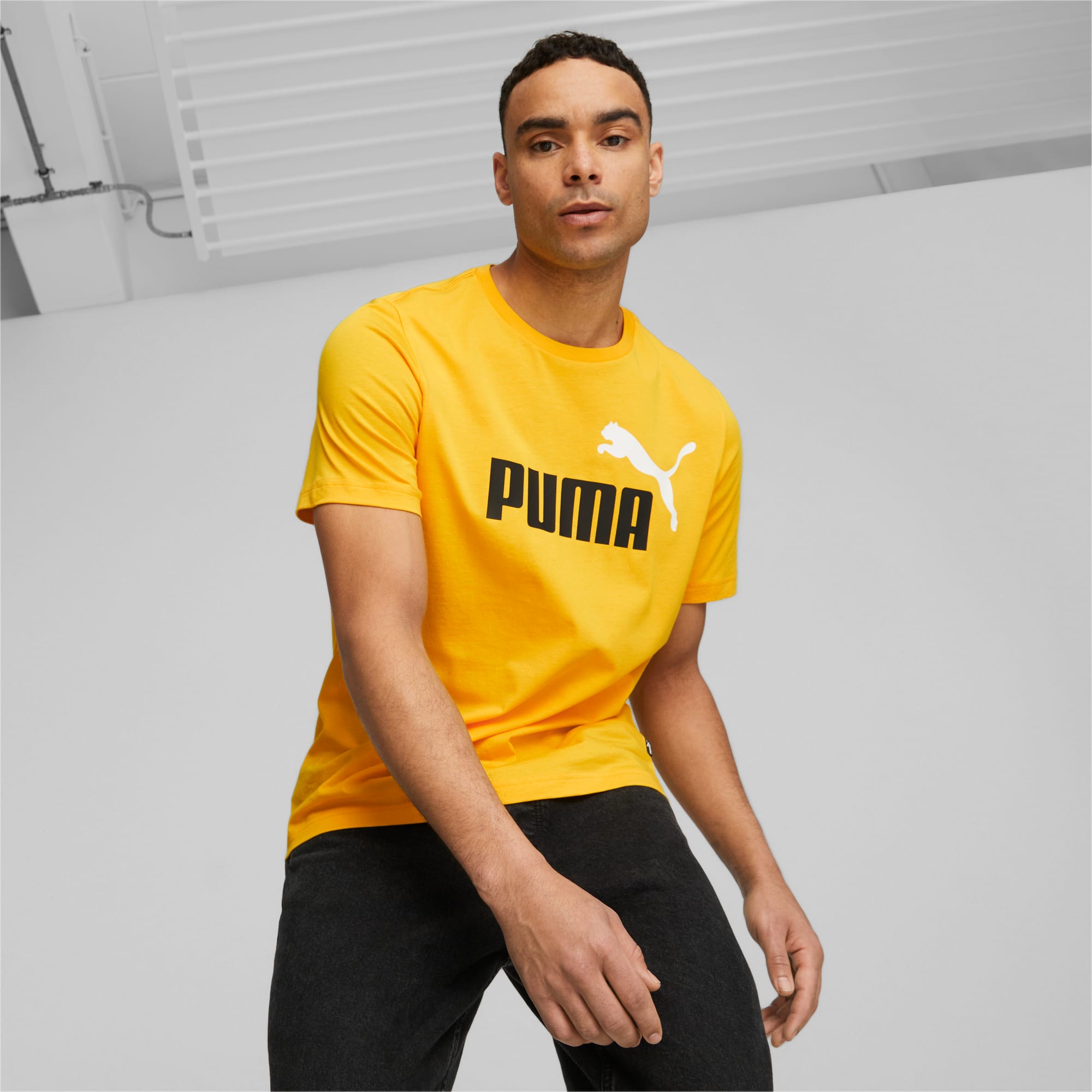 Pull puma homme cyan store